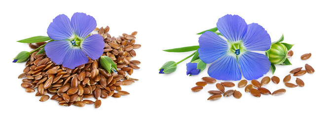 flax seeds with flower isolated on white background