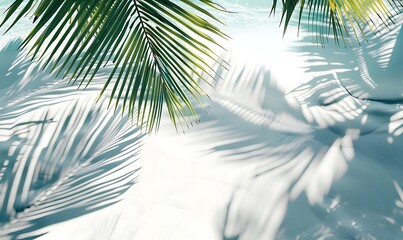 Abstract Tropical Shadows: Palm Leaves on White Sand Beach, Top View of Water and Shadows, Summer Vacation Banner