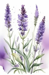Lavender watercolor background. Delicate flower bouquet on a white background. Spring-summer banner template