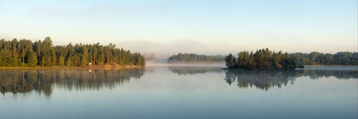 forest lake with fog on a summer morning