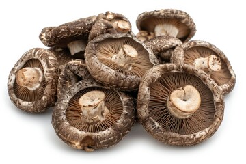 Overhead view of dried shiitake mushrooms on white background