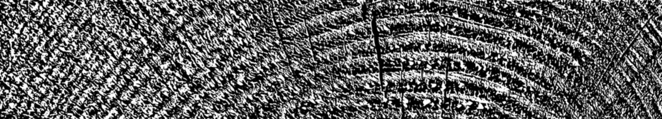 Distressed wood overlay textured. Old grunge design element. Cross section tree rings cut slice. Black grainy texture on white background. Wide horizontal long banner. Vector illustration. EPS 10.