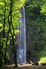 Fototapeta premium 玉簾の滝・たますだれのたき（山形県・酒田市）