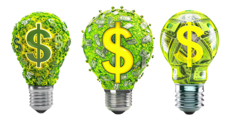 Lightbulb designs with dollar symbols and money patterns, symbolizing financial investment and economic ideas. Creative concept illustration.