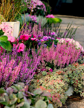 Gartenidylle im Herbst