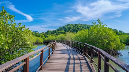 Fototapeta premium Stunning Wooden Walkway Winding Through Lush Mangrove Forest with Tranquil Waterfront View