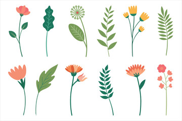 Obraz premium set of flowers and leaves