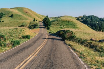 Winding road and grassy hills at the top of Mt Tamalpais, Marin, California, United States of America. © Zenstratus