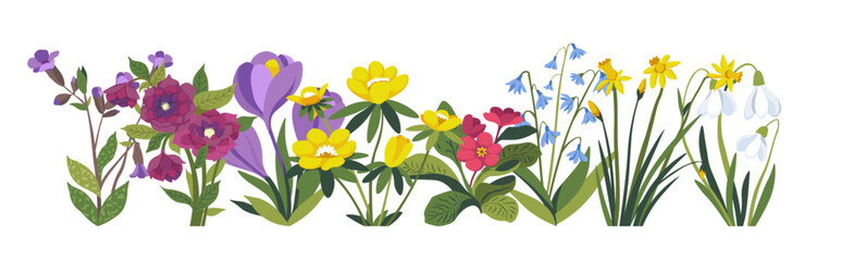 Colorful Spring Flowers Illustration vector