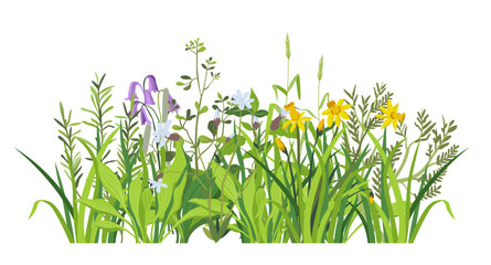 Lush Greenery and Flowers Vector