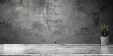 Minimalist Concrete Background with a Plant