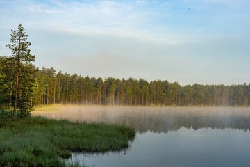 Foggy morning on a lake in the middle of the forest