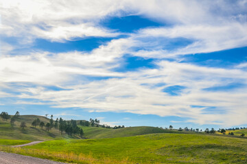 Fototapeta premium An overlooking view of nature in Custer State Park, South Dakota