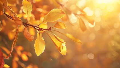 Obraz premium golden autumn leaves glow on a branch, creating a serene background for projects evoking the beauty of fall