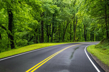 A long way down the road going to Great Smokey Mountains NP, Tennessee
