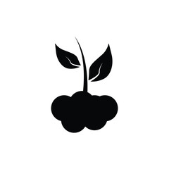 sprout logo icon