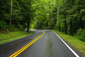 A long way down the road going to Great Smokey Mountains NP, Tennessee © CheriAlguire