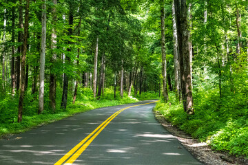 Fototapeta premium A long way down the road going to Great Smokey Mountains NP, Tennessee
