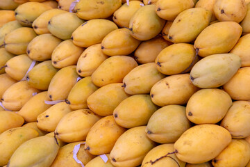Fresh yellow mango as background