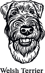 Welsh terrier - Funny Dog, Vector File, Cut Stencil for Tshirt