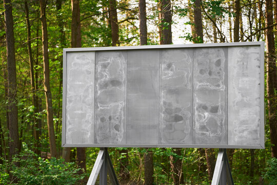 Empty billboard in serene forest for advertising and promotions