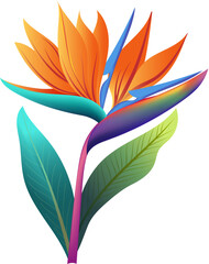 bird of paradise tropical plant