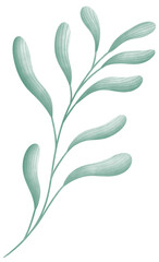 The flower element is digital art, drawn using a watercolor brush. The color tone is pastel, emphasizing brightness for the audience. Stellar Aan.
