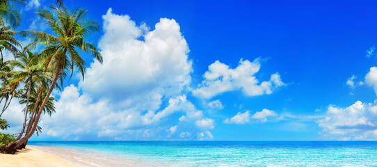 Sea beach panorama, tropical island panoramic landscape, turquoise ocean water, coconut palm tree leaves, sand blue sky sun white cloud, summer holiday, vacation, travel, Caribbean, Thailand, Maldives