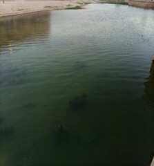 Reflections in water , Grass in the lake of water. Lake of waterfall 