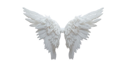 Obraz premium Angel wings on a transparent background