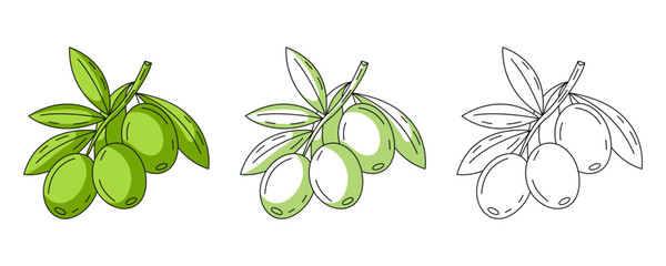 Olive branch, colorful and line greens icons set. Farm vegetable vector outline icon, monochrome and color illustration. Healthy nutrition, organic food, vegetarian product. For logo, coloring book