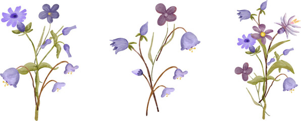 Watercolor bouquet of wildflower flowers and leaves Suitable use for wedding invitation, greetings cards, decoration in your card, etc.