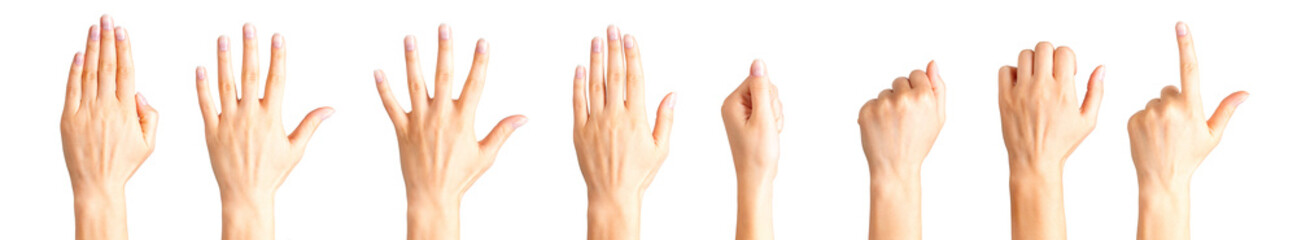 Obraz premium Set of woman hands showing different gestures, pointing and showing signs