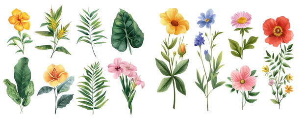 different botanicals florals vintage elements. Branches, leaves, herbs, wild plants, flowers. Garden, meadow, feild collection leaf, foliage, branches. Bloom vector illustration cut out