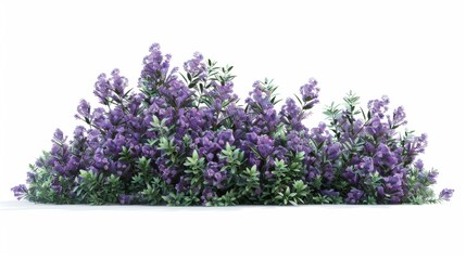 Fototapeta premium Beautiful Purple Flowering Shrubs in Full Bloom, Generative AI