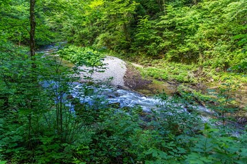 Obraz premium Source of the Kamachnik Stream in the Gorski Kotar region, Croatia