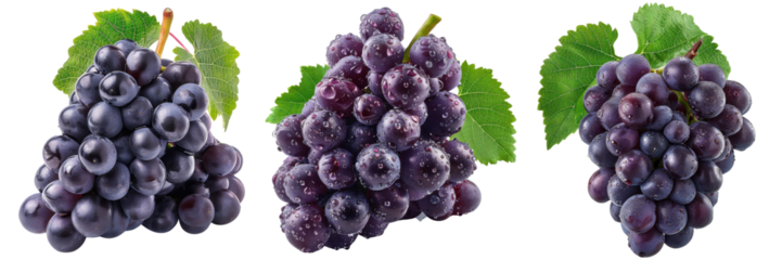 Fresh bunches of dark purple grapes with leaves on a Transparent Background , ideal for culinary, health, and natural themes in stock photos.