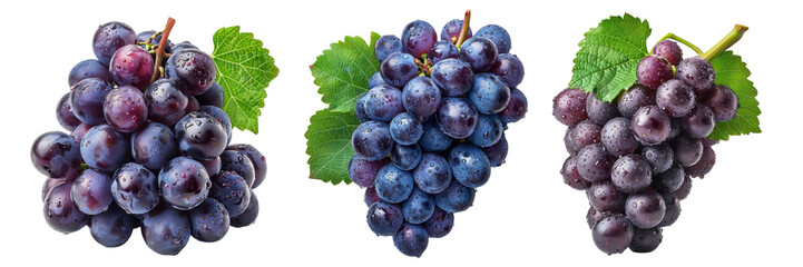 Fresh bunches of vibrant purple grapes against a Transparent Background  Perfect for food, fruit, and healthy eating concepts in your projects.