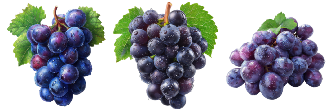 High-quality image of three bunches of purple grapes isolated on Transparent Background , showcasing fresh and vibrant fruit in close-up.