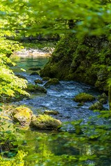 Obraz premium Source of the Kamachnik Stream in the Gorski Kotar region, Croatia