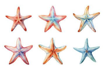 Starfish Collection Bundle Set Isolated on a Transparent Background