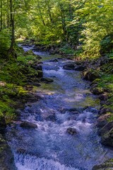 Obraz premium Source of the Kamachnik Stream in the Gorski Kotar region, Croatia