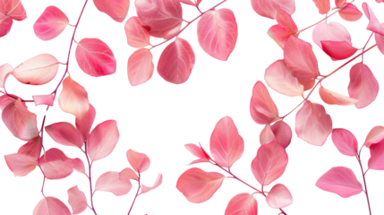 Pink leaves on a transparent background