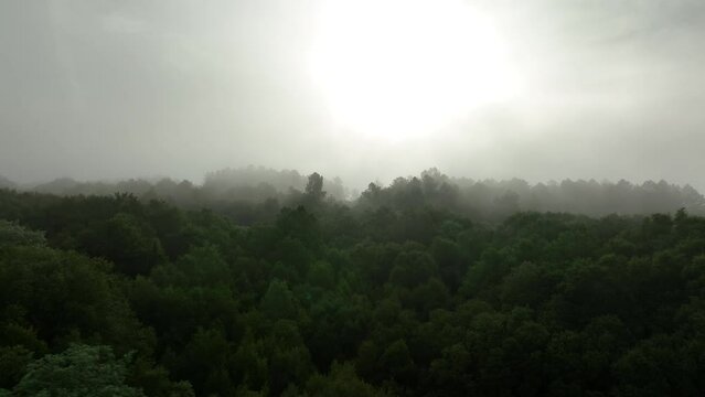 Niebla entrando en un embalse muy verde de galicia