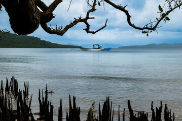 Fototapeta premium View of nature and fishing boats from behind the mangrove forest