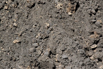 A close-up view of dark soil with small rocks scattered throughout
