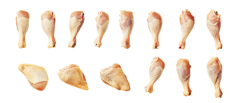 Chicken drumsticks, chicken breasts .isolated on transparent background. PNG photo for your design