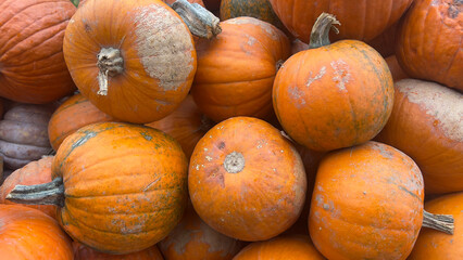 A close-up view of several ripe pumpkins stacked on top of each other, likely at a fall market or farm stand