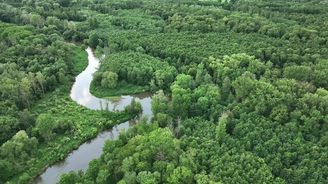 Floodplain meander river Morava drone aerial video shot delta in inland forest and lowlands wetland swamp, quadcopter view flying fly flight show, protected landscape area of Litovelske Pomoravi