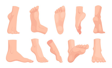 Human foot. People anatomy illustration barefoot walking legs exact vector pictures of different viewpoints of feet